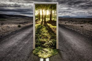 Der Weg aus der KRise